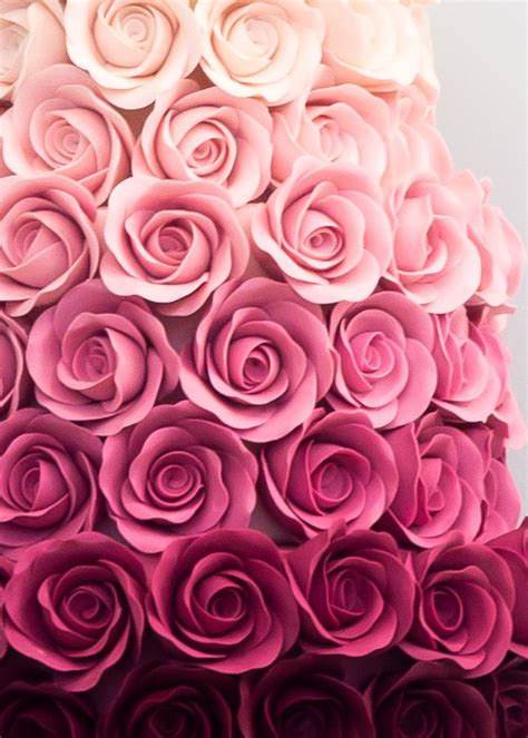 ombre rose - ouro rose